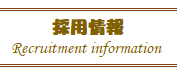 採用情報